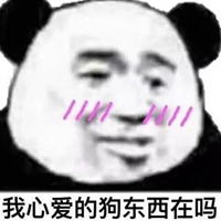  打招呼的表情包