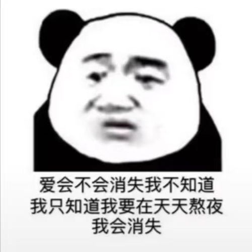  爆笑表情包爱会不会消失我不知道