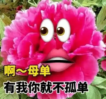  支付宝崩了5亿阅读量冲上热搜网友秒猜出原因...