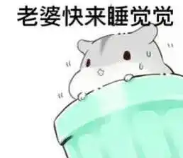  有人知道这个仓鼠叫啥吗求表情包更新