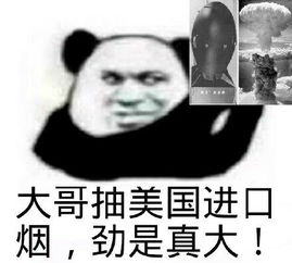  5年4冠,马尔默提前加冕瑞典超