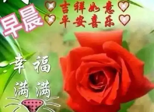 2月16日早上好的问候语最新动态表情图片