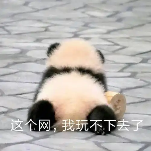  史上最全倒霉蛋动图集合,哈哈哈哈哈哈我笑不活了
