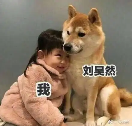  陈的的的相册非著名表情包收藏家
