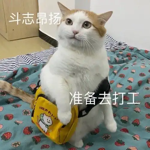  表情包早安打工人