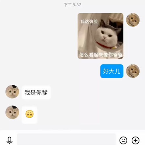 主页那图,逗对象,每天更新表情包