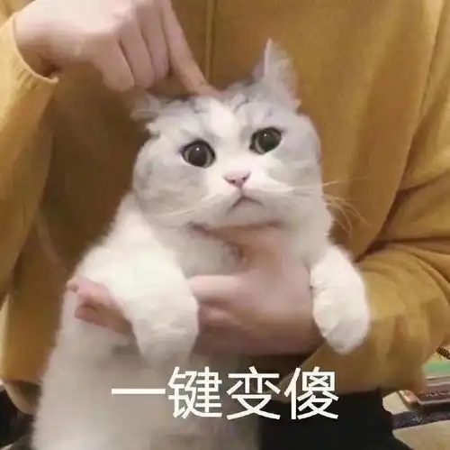  微信斗图表情包搞笑gif动态图给姐爬出去