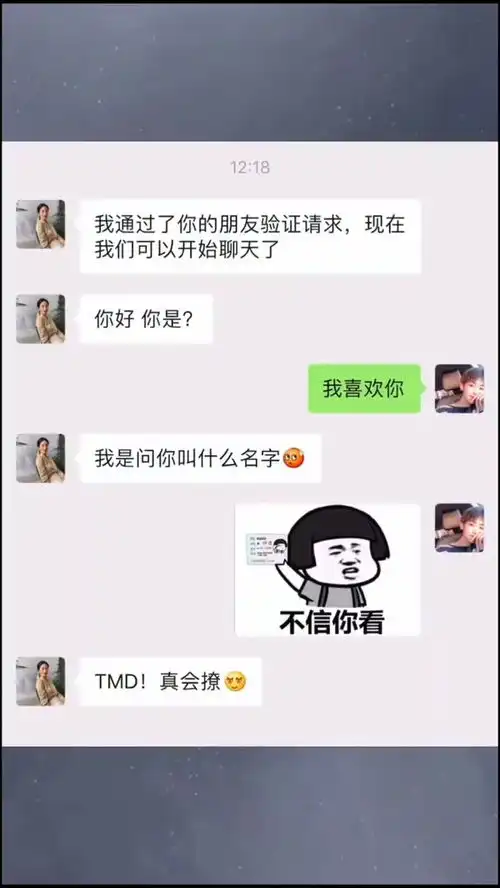  表情包小可爱已上线
