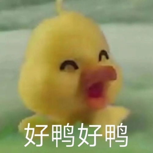  获得报考资格的8种方式没有这些你将无缘考试