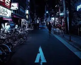  这座城市风很大,孤独的人总是晚回家