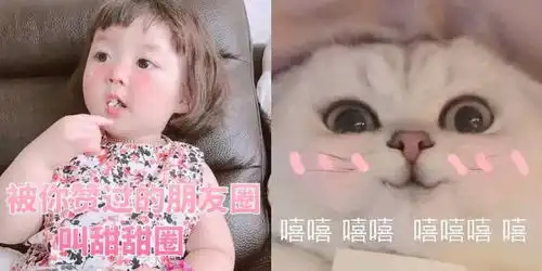  敲个性甜腻逗比表情包凡是能用钱解决的,我都解决不了