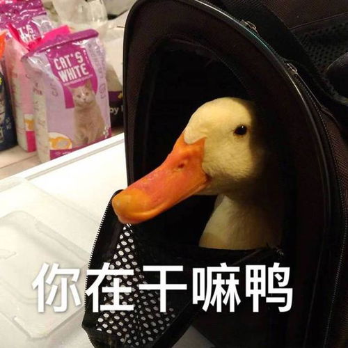  哥几个太坏了,实在喝不下了
