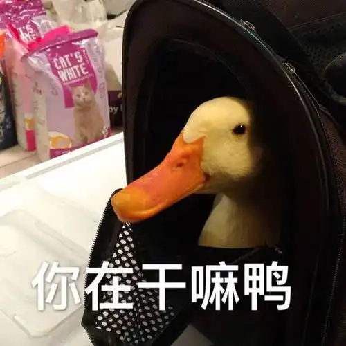  哥几个太坏了,实在喝不下了