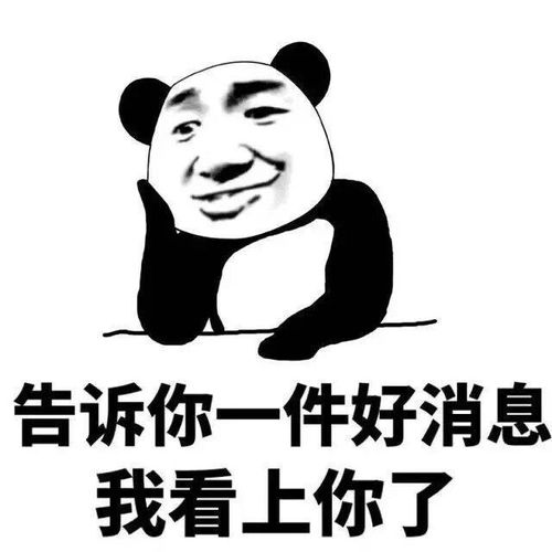  十条段子你真是凭实力单身,寂寞高深