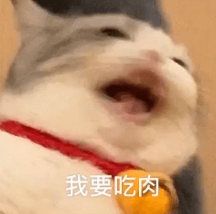  拖地猫表情包我要吃肉肉