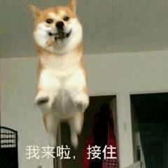  今日份热闻主角亮宝小巴豆我白