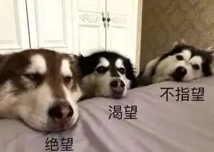  2018年还剩10周了,看完这个,笑着活下去啊哈哈哈哈哈哈