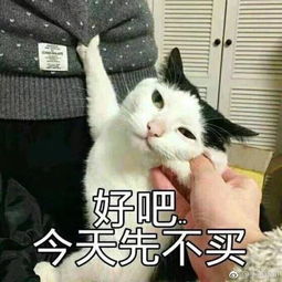 双十一微信表情包快递