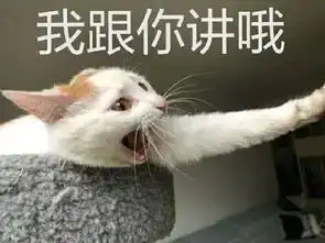  一代正经的男神,为什么成了网友想恶搞的人