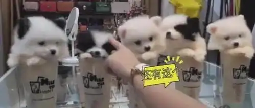  天价奶茶店爆红,一看配料更喜欢了,茶杯露出超萌的小脑袋