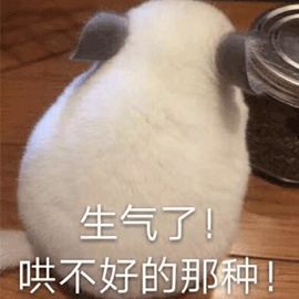 兔子吞脑袋表情包一套生