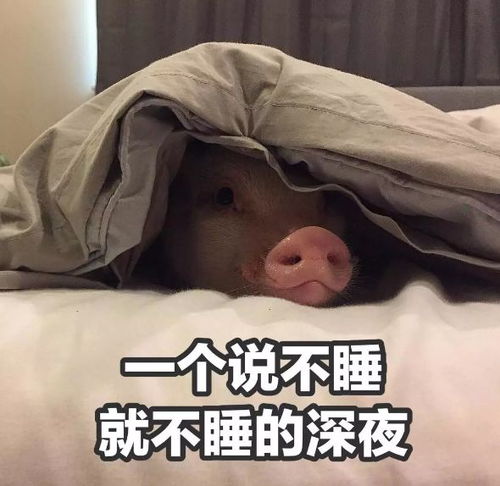 放假被骂表情包假年