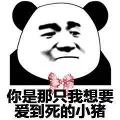  今日份沙雕熊猫头表情包