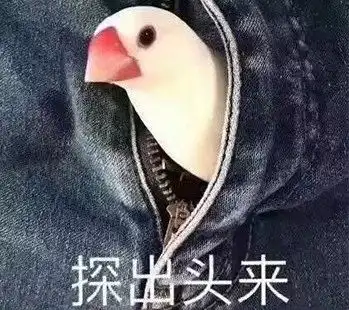  每日表情聊天斗图专用