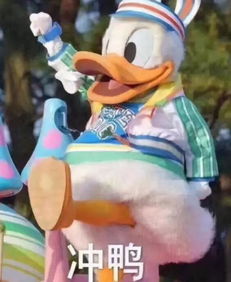  广西快3计划软件手机版