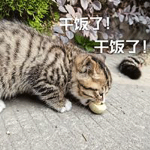  幽默搞笑表情包干饭时间到了