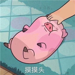  见过那么多猪,还是你最可爱