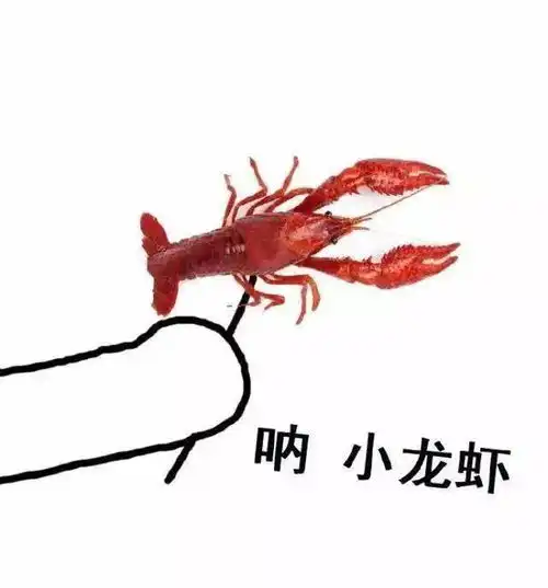  为了实现你我的小龙虾自由快来为潜江龙虾工投票吧