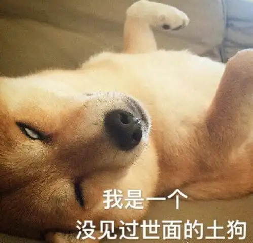  们,有推荐日本动漫么