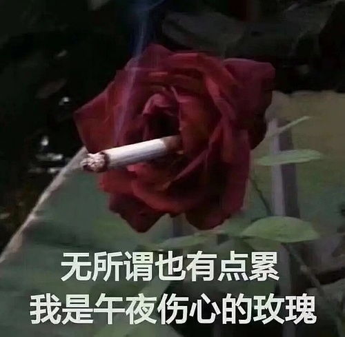  这是否有点