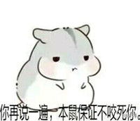  hamham仓鼠老婆表情包带字手绘卖萌的仓鼠老婆表情包