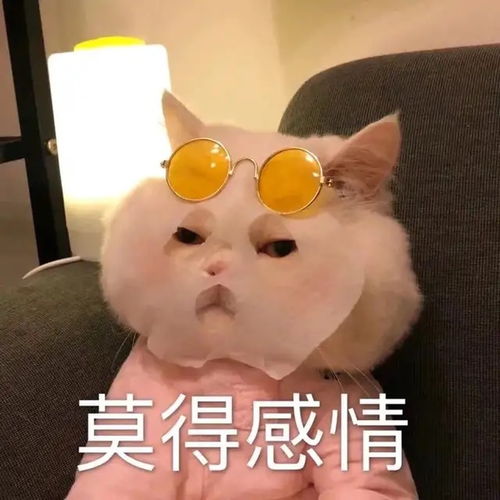  艺术考研北京针对清美考研比较好的培训机构有哪些