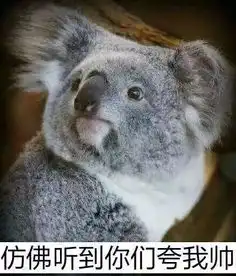 西伯利亚鼯鼠表情包早安