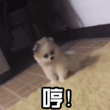 黄胖子拍肚皮表情包gif