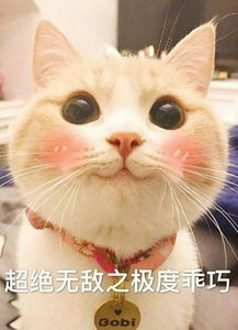  熊猫头表情包聊天结束,告辞