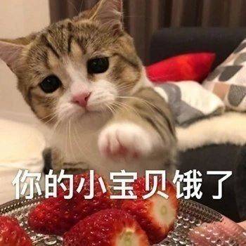  可爱表情包拿图片宝贝,我爱你,每天都想对你说