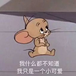  警惕携号转网新骗局上线,已有人上当,速看