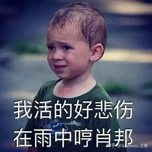  有没有每一帧都是表情包的人