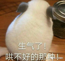  民间杀鱼西施撞脸刘亦菲尴尬