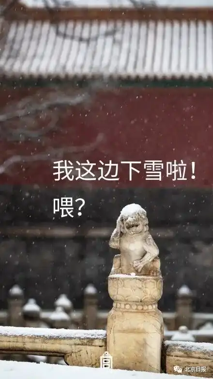  故宫雪景美上三个热搜,网友却为石狮子做表情包憨憨挠头