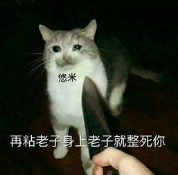 猫爪系列表情包自首
