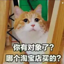  超搞笑可爱的猫咪表情包,不敢说话腾讯网qq.com