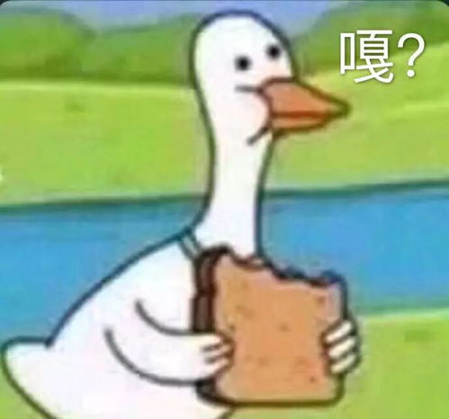 吃薯片的表情包搞笑