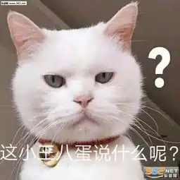  别再说了我要被气死了表情包这小王八蛋说什么呢表情包图片下载乐游网游戏下载