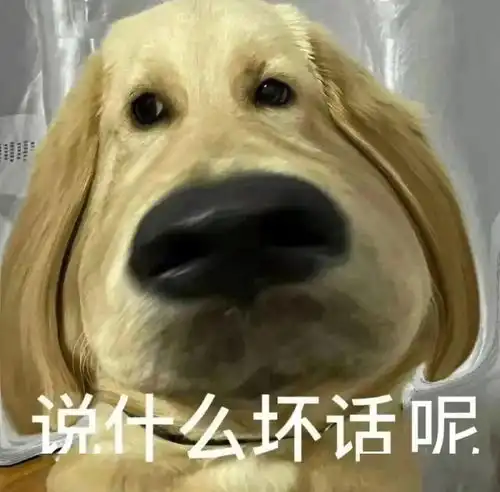  无伤过大年