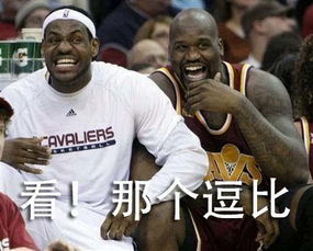  骑士夺冠表情包詹姆斯表情包来袭